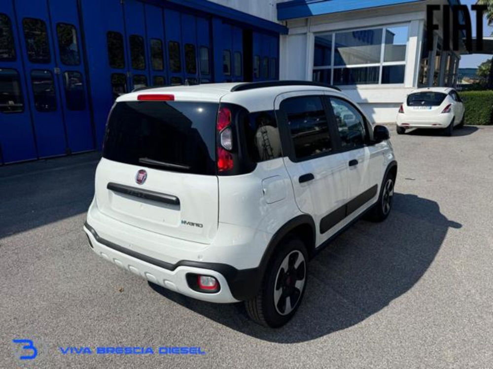 Fiat Panda Cross nuova a Brescia (6)