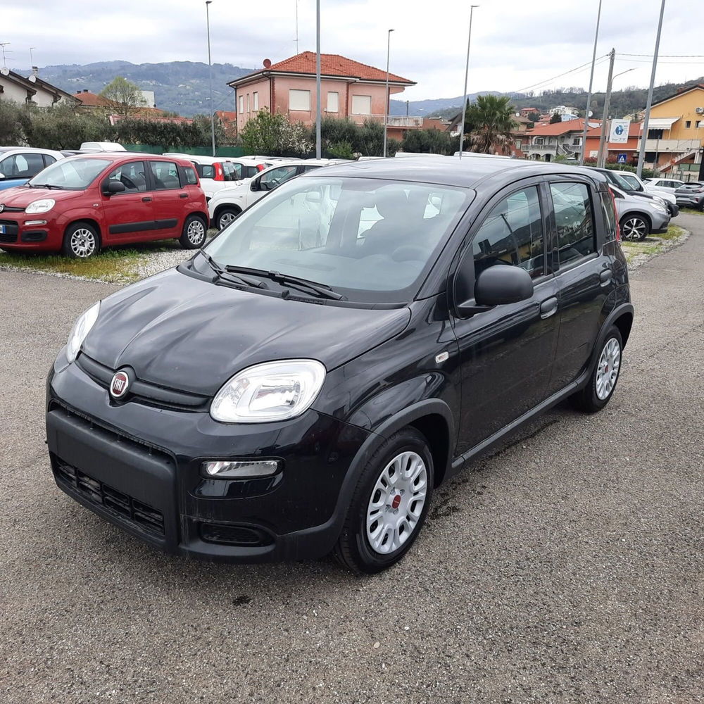 Fiat Panda nuova a La Spezia (3)