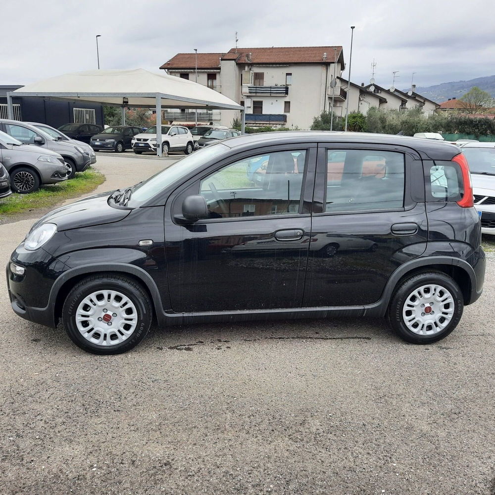 Fiat Panda nuova a La Spezia (4)