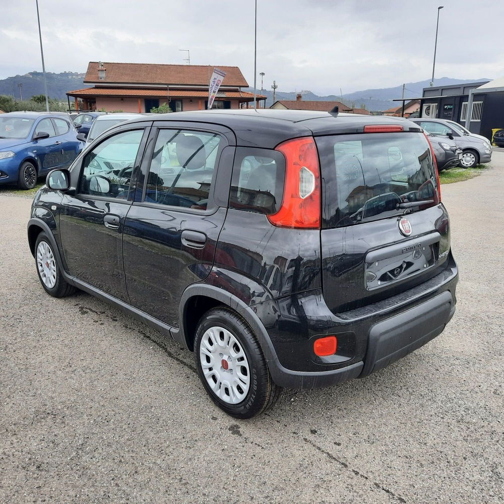 Fiat Panda nuova a La Spezia (5)