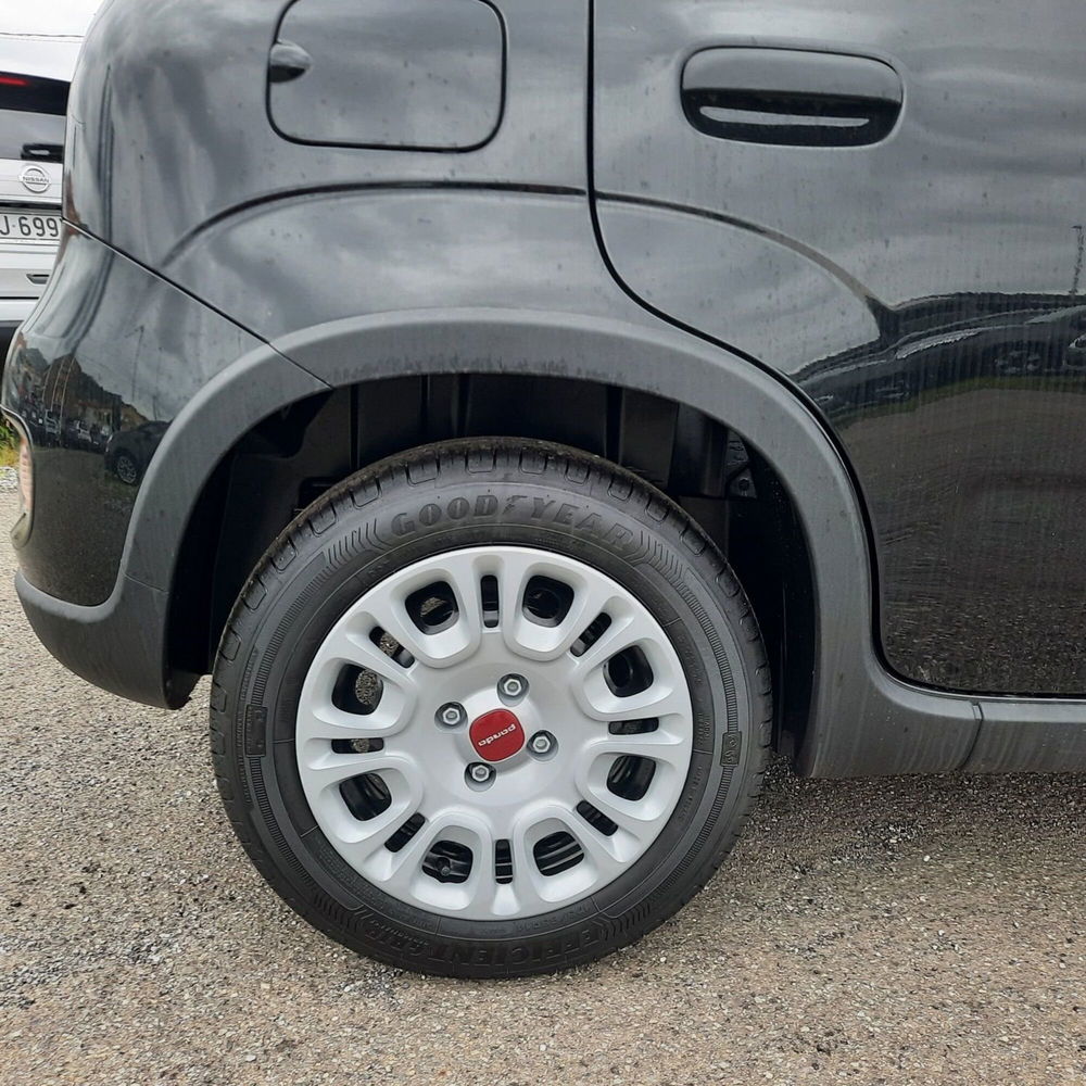 Fiat Panda Cross nuova a La Spezia (9)