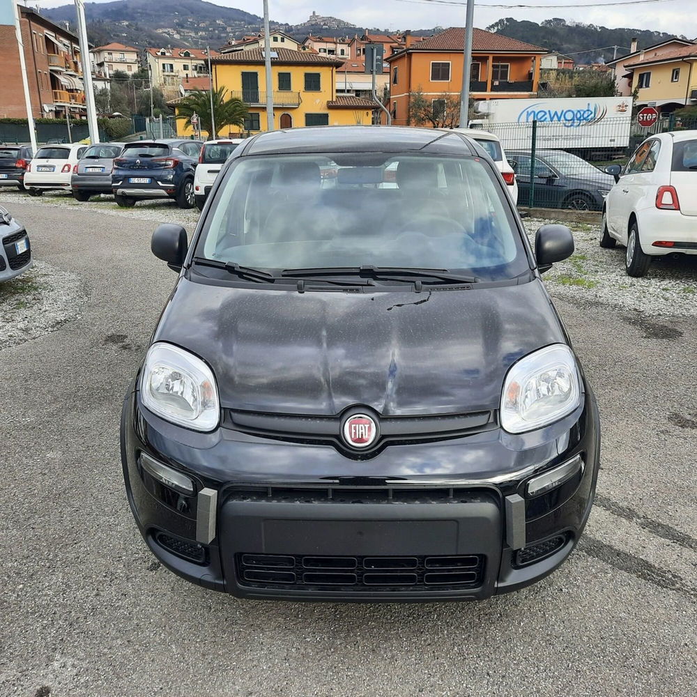 Fiat Panda nuova a La Spezia (2)