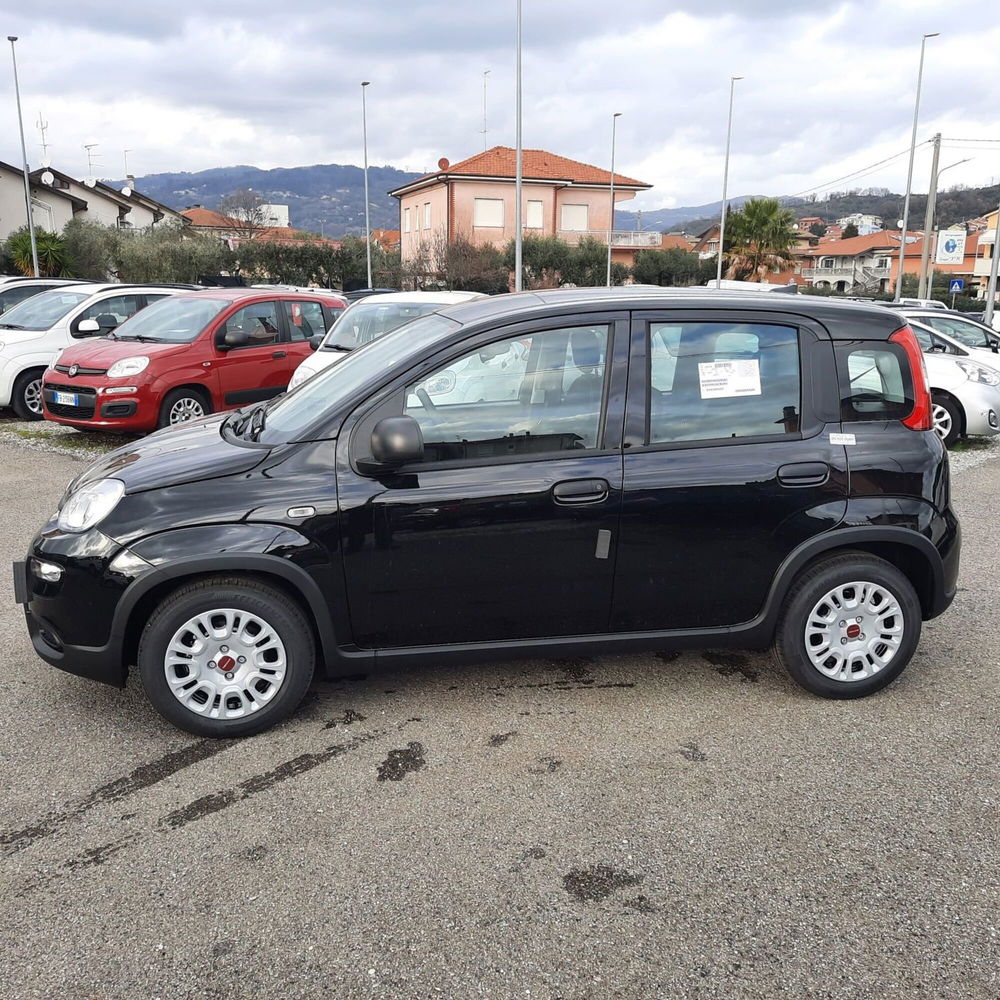 Fiat Panda nuova a La Spezia (4)