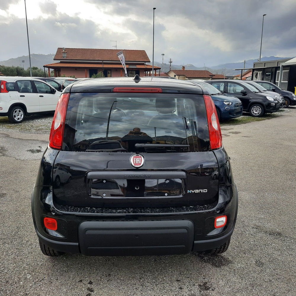 Fiat Panda nuova a La Spezia (6)