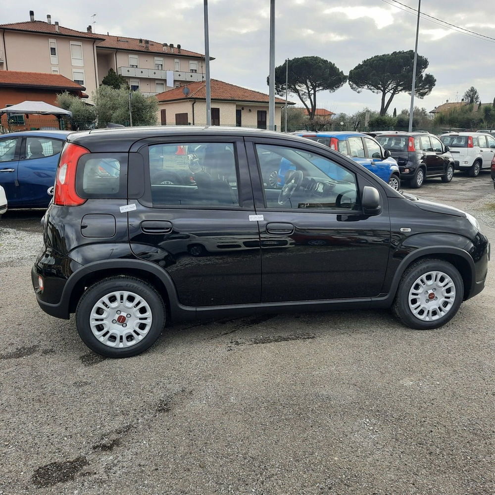 Fiat Panda nuova a La Spezia (8)