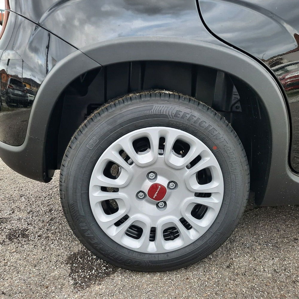 Fiat Panda nuova a La Spezia (9)