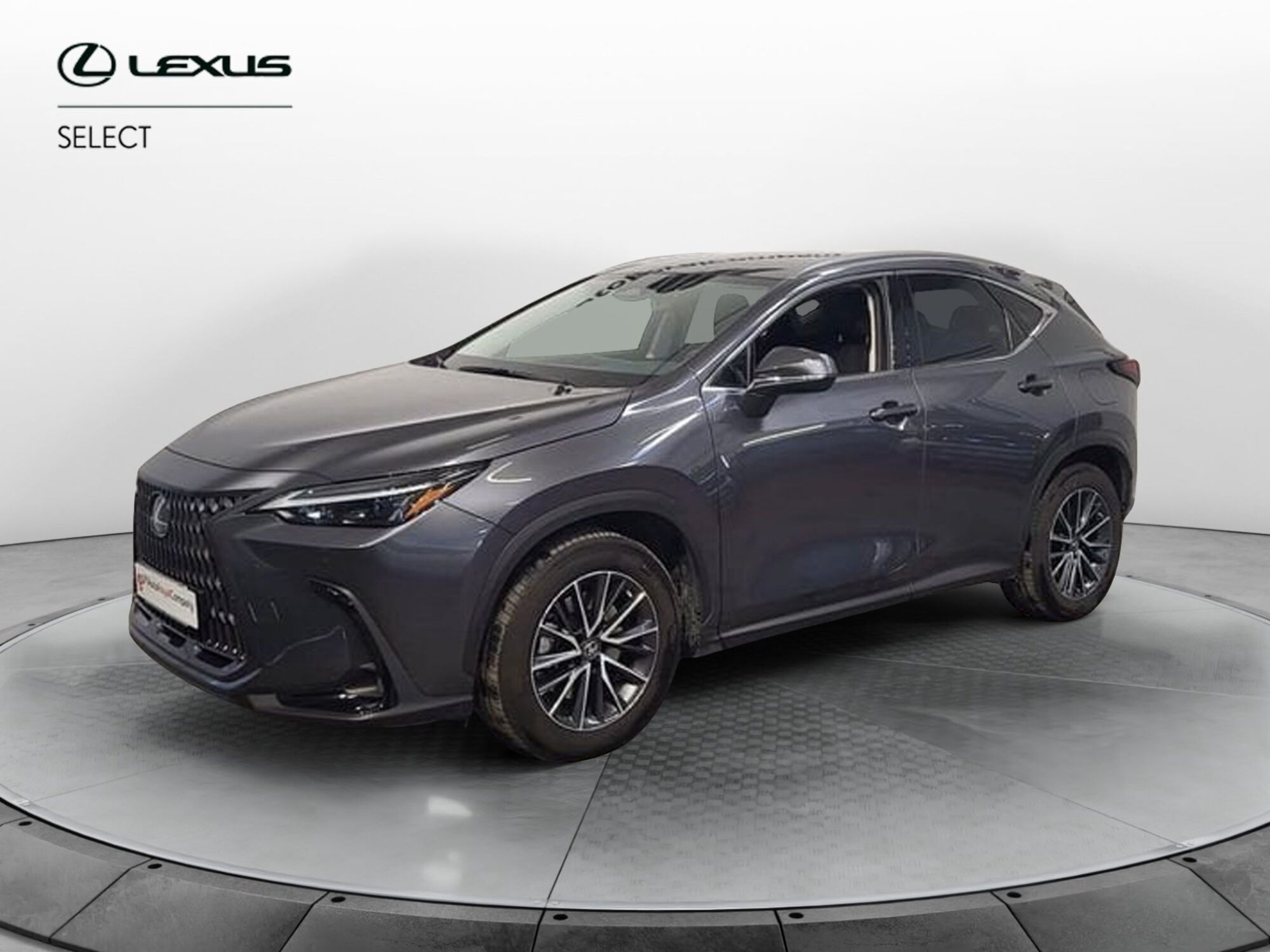 Lexus NX Plug-in 4WD Premium del 2022 usata a Roma