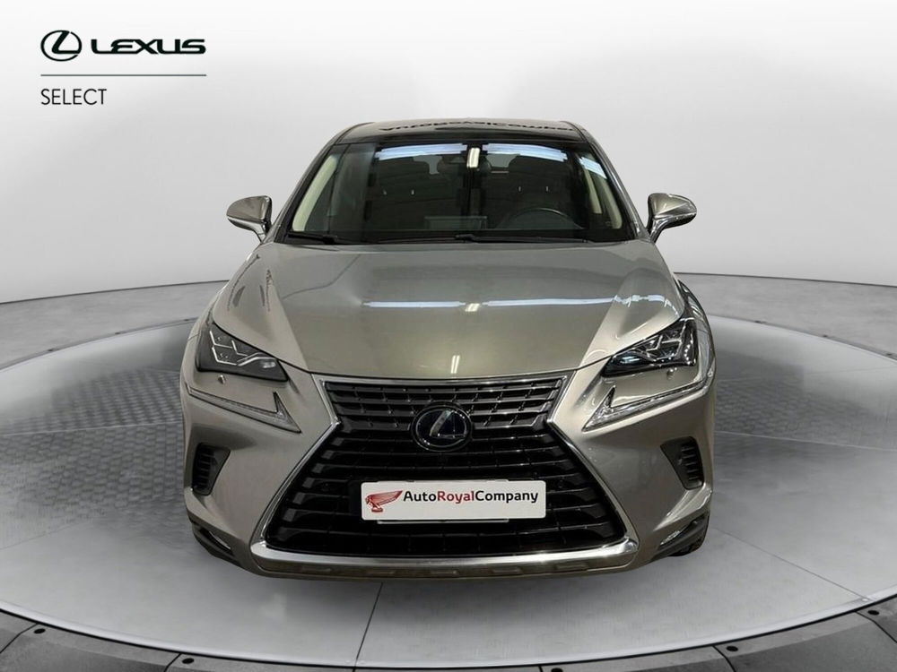 Lexus NX usata a Roma (3)