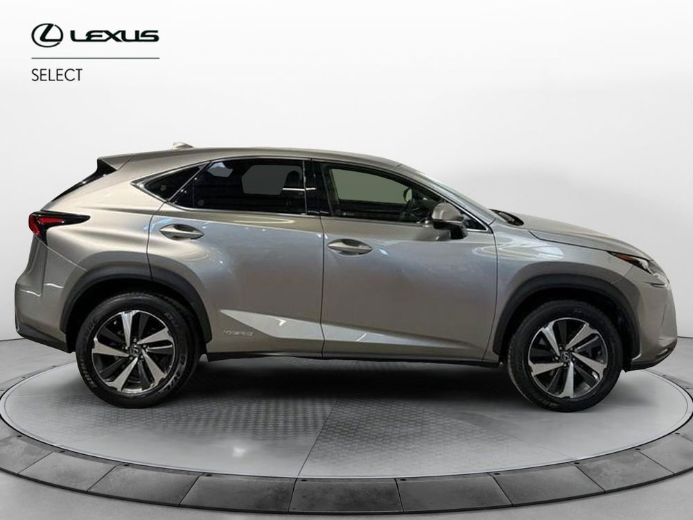 Lexus NX usata a Roma (5)