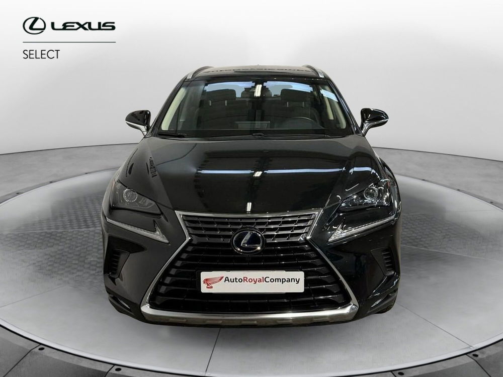 Lexus NX usata a Roma (3)