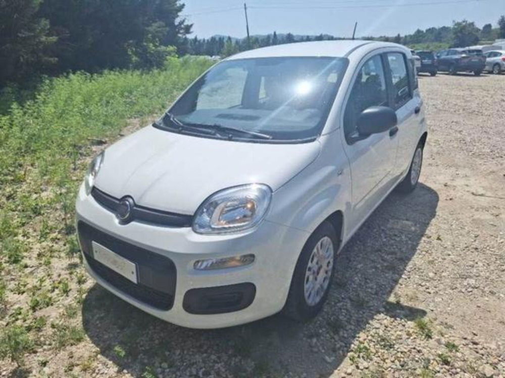 Fiat Panda usata a Perugia