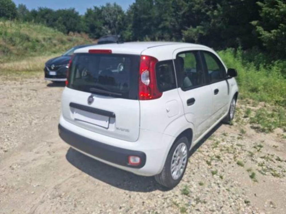 Fiat Panda usata a Perugia (2)