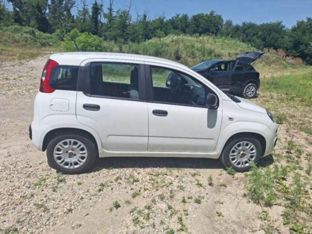 Fiat Panda usata a Perugia (5)