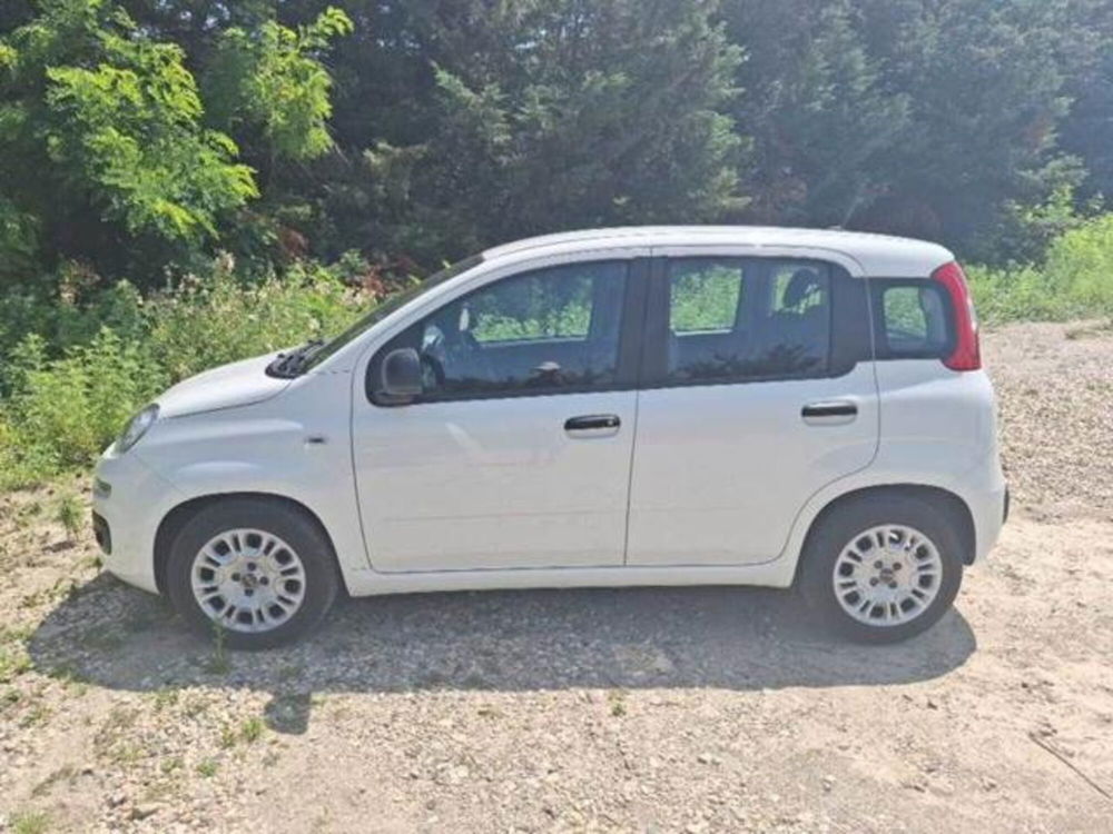 Fiat Panda usata a Perugia (6)