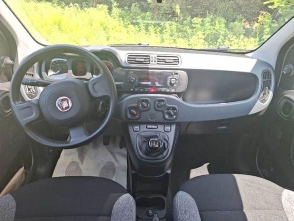 Fiat Panda usata a Perugia (8)