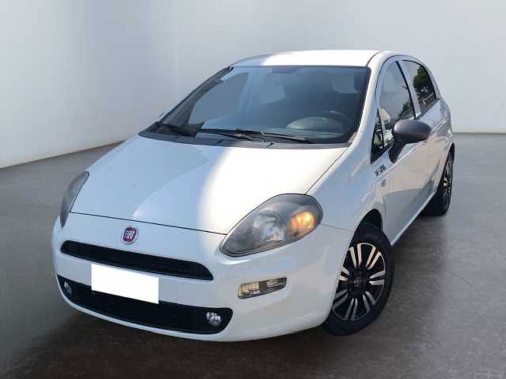 Fiat Punto usata a Lucca