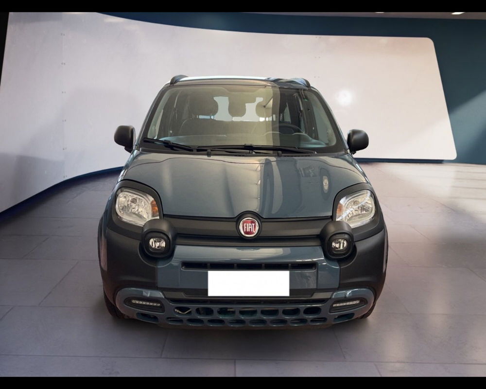 Fiat Panda Cross usata a Torino