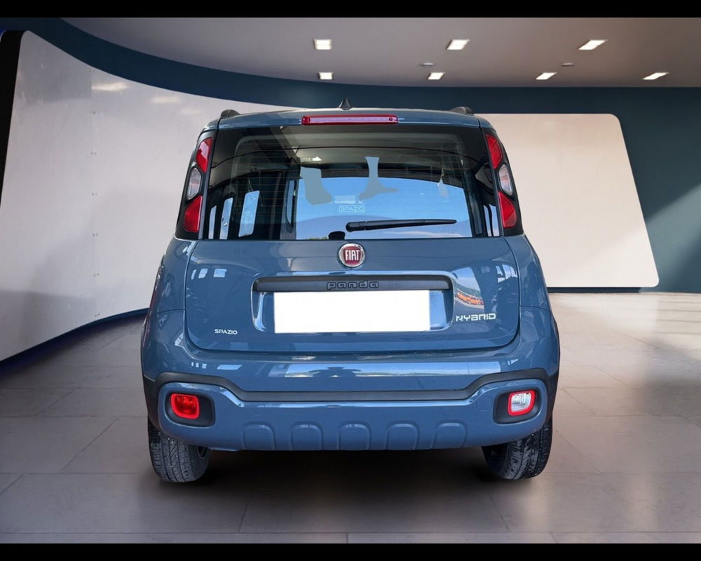 Fiat Panda Cross usata a Torino (10)