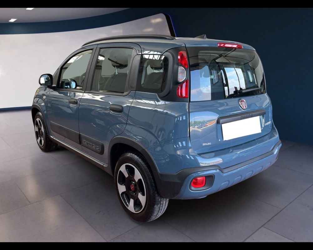 Fiat Panda Cross usata a Torino (11)