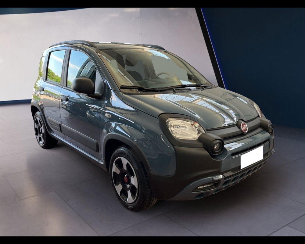 Fiat Panda Cross usata a Torino (7)