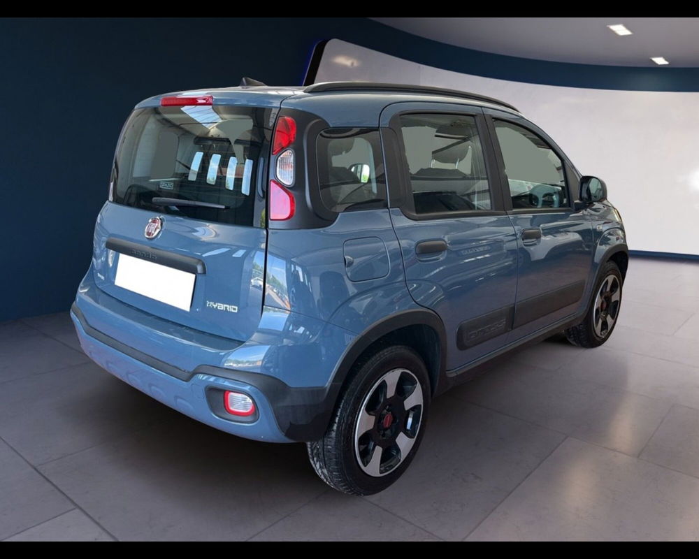 Fiat Panda Cross usata a Torino (8)