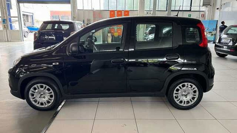 Fiat Panda nuova a Milano (2)