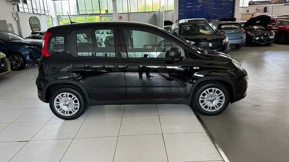 Fiat Panda nuova a Milano (6)