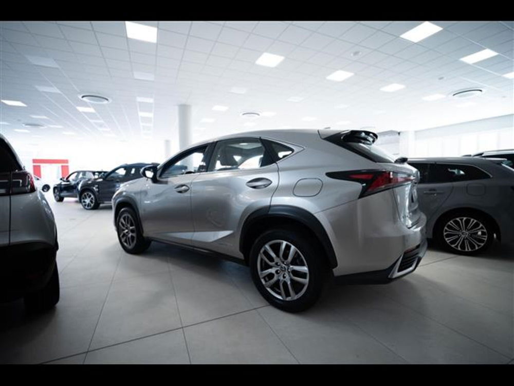 Lexus NX usata a Torino (3)