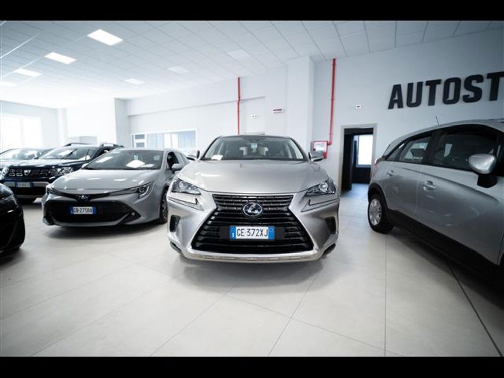 Lexus NX usata a Torino (4)