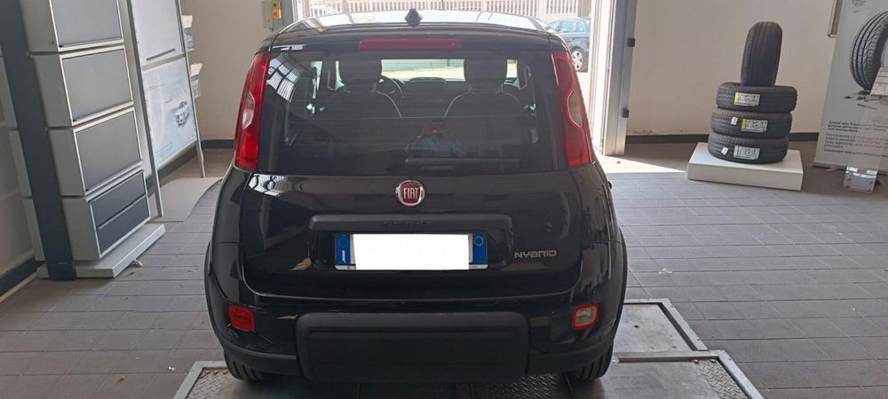 Fiat Panda nuova a Avellino (2)