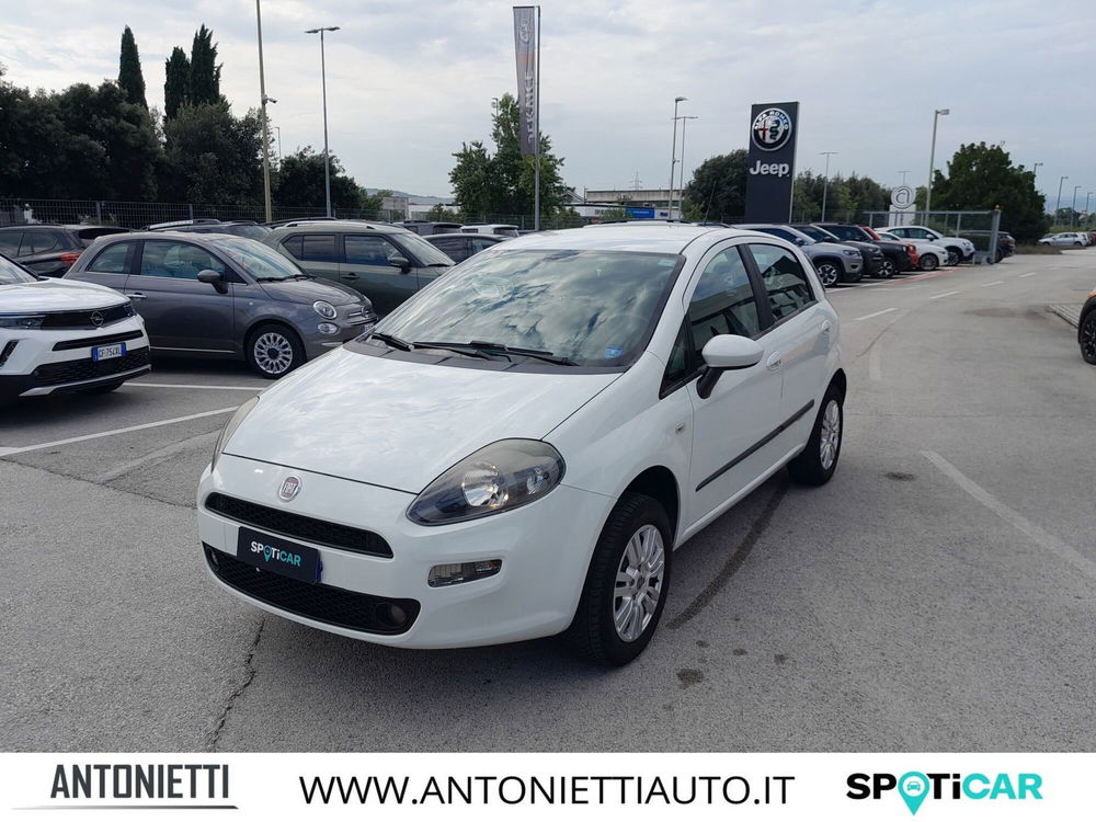 Fiat Punto usata a Ancona