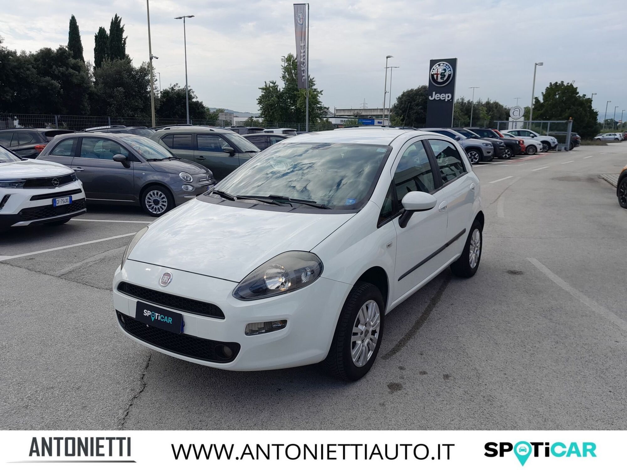 Fiat Punto 1.4 8V 5 porte Natural Power Lounge  del 2014 usata a Jesi