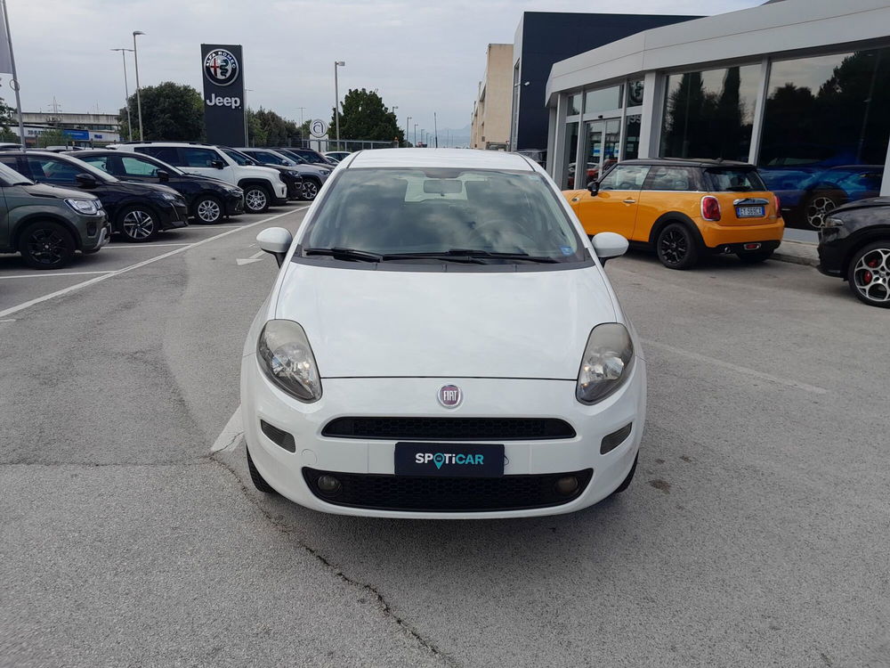 Fiat Punto usata a Ancona (2)