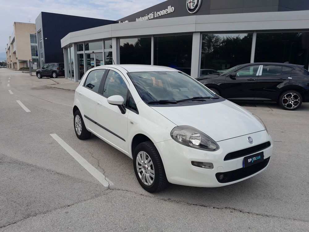 Fiat Punto usata a Ancona (3)