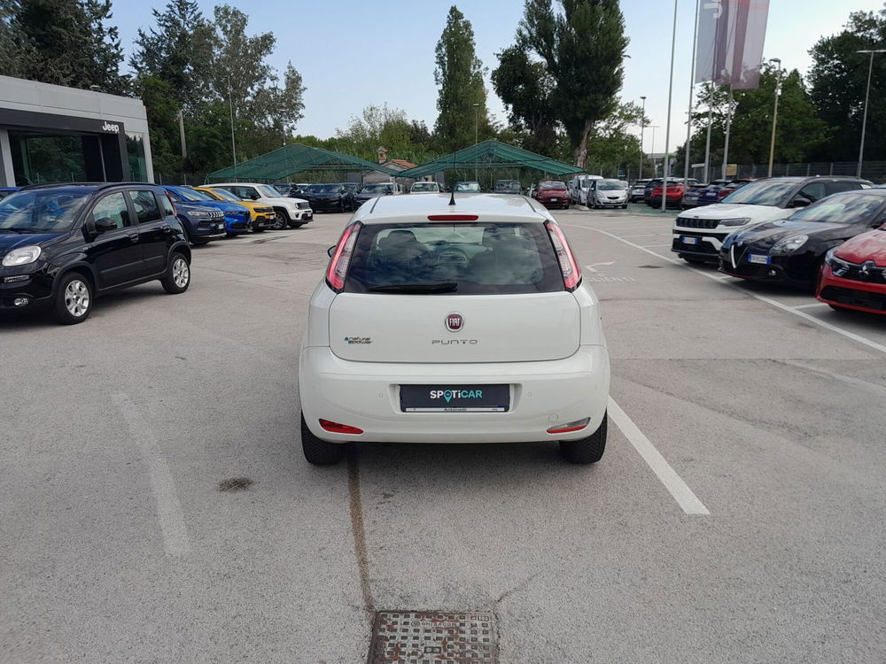 Fiat Punto usata a Ancona (6)