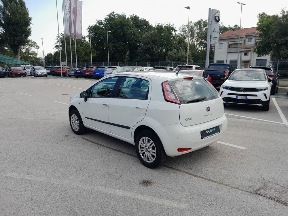 Fiat Punto usata a Ancona (7)