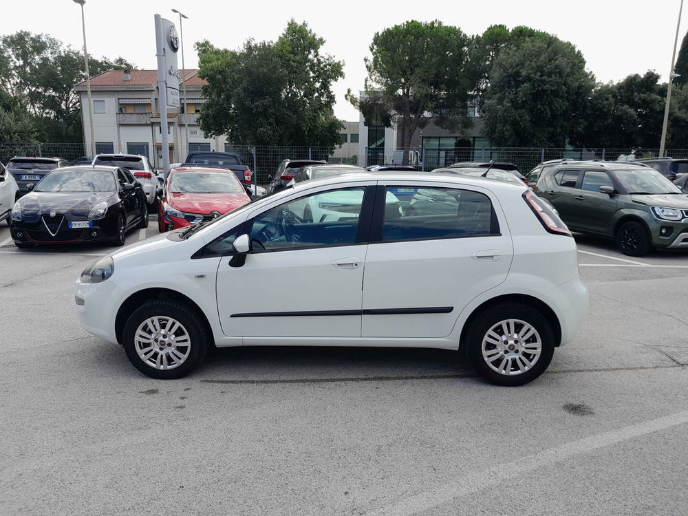 Fiat Punto usata a Ancona (8)