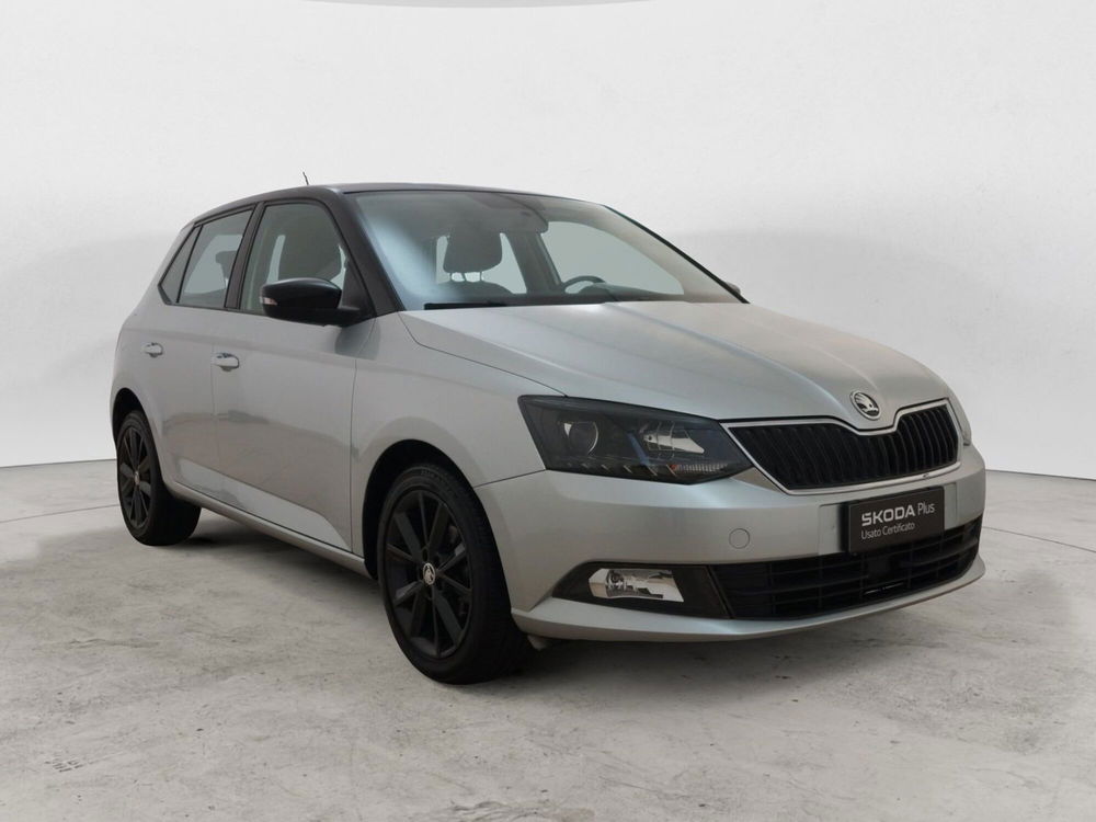 Skoda Fabia usata a Torino