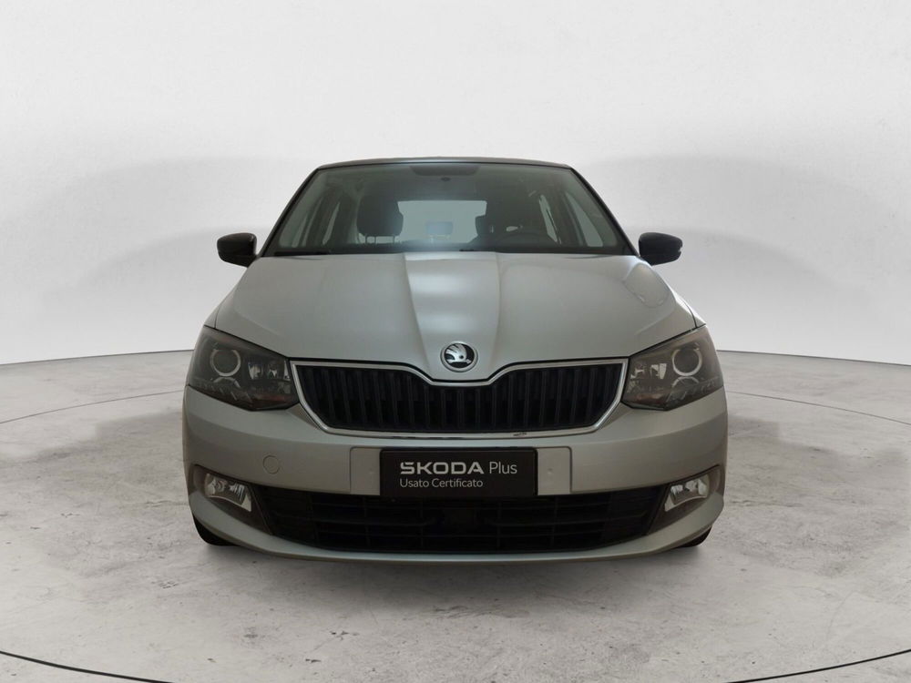 Skoda Fabia usata a Torino (2)