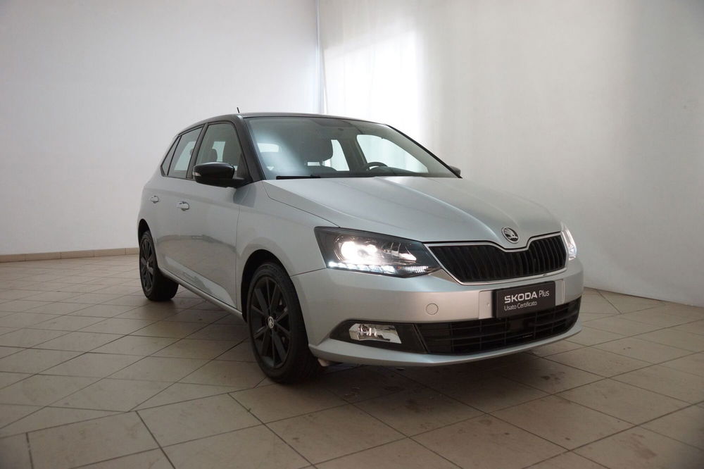 Skoda Fabia usata a Torino (20)