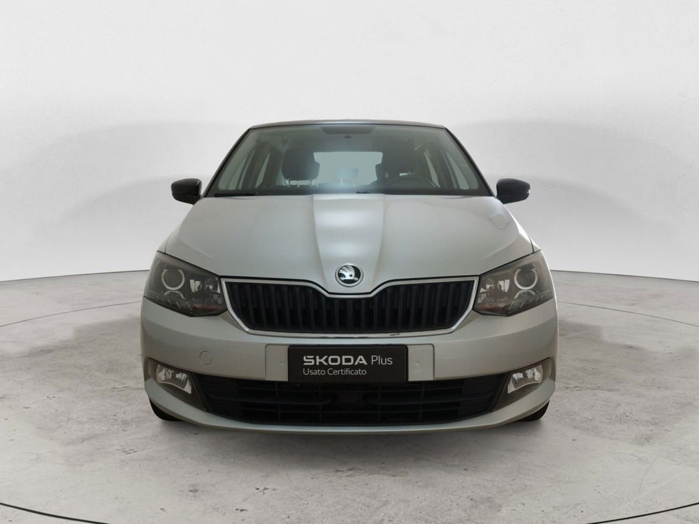 Skoda Fabia usata a Torino (3)