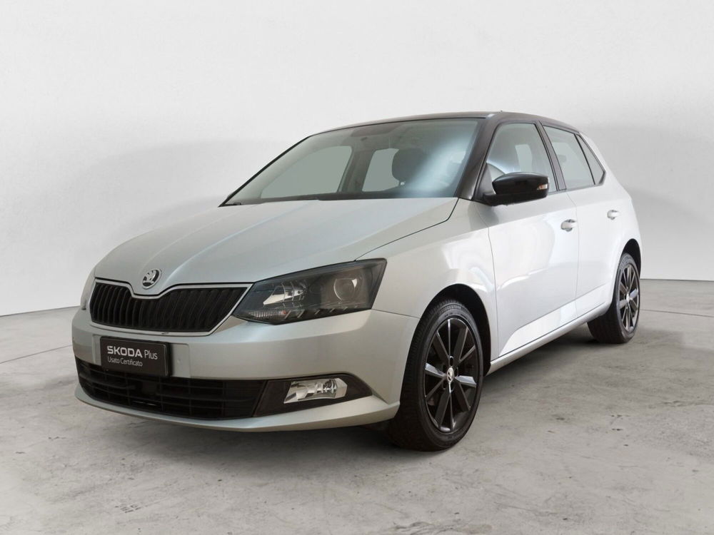 Skoda Fabia usata a Torino (4)