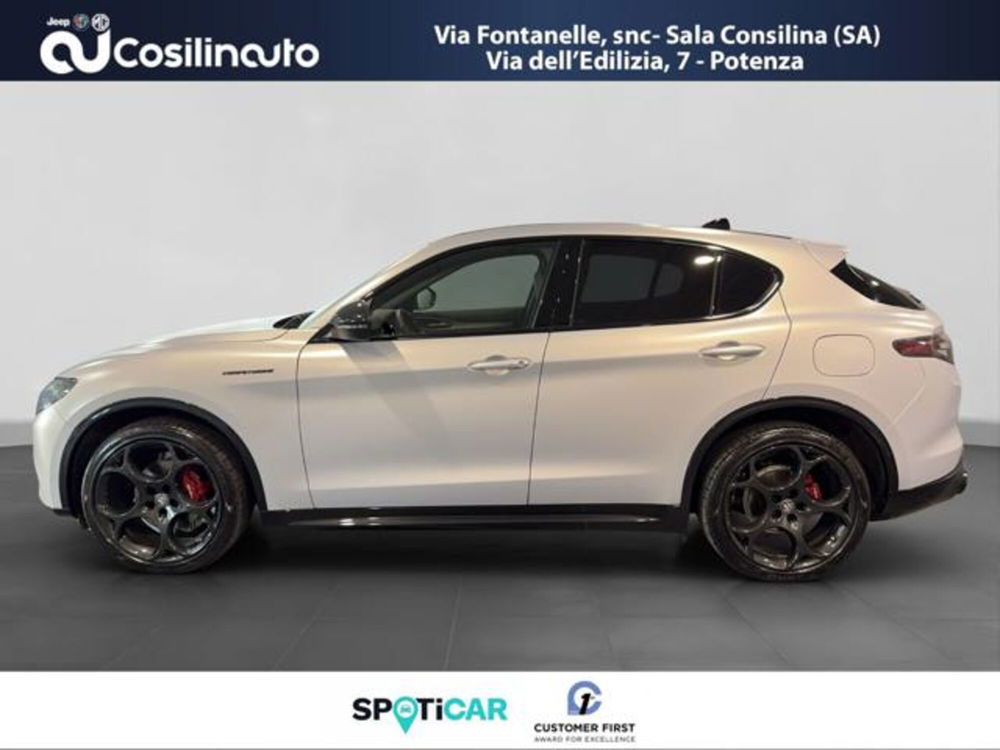 Alfa Romeo Stelvio usata a Salerno (2)