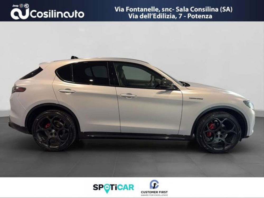 Alfa Romeo Stelvio usata a Salerno (6)