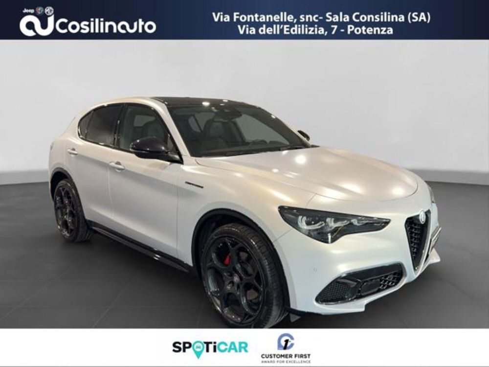 Alfa Romeo Stelvio usata a Salerno (7)