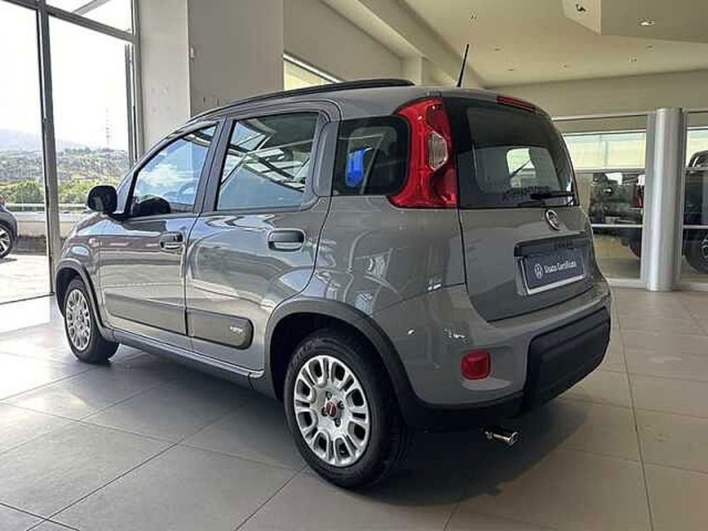 Fiat Panda usata a Cosenza (4)