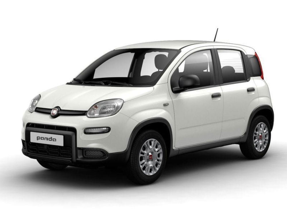 Fiat Panda nuova a Bari (2)