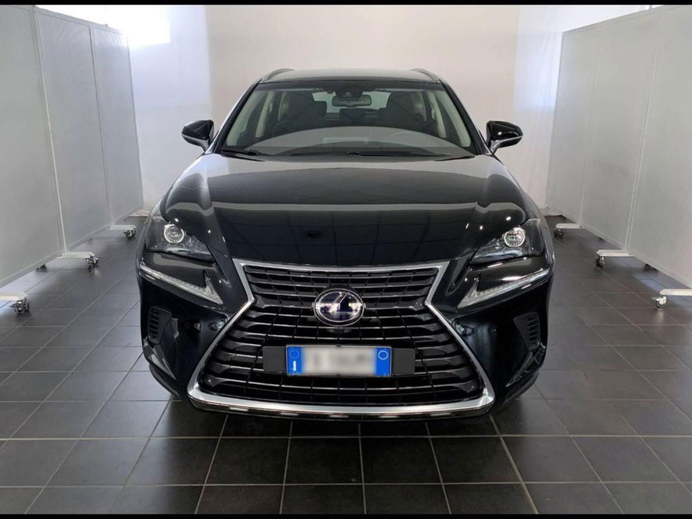 Lexus NX nuova a Torino (4)