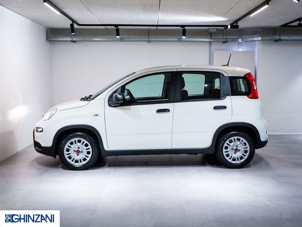 Fiat Panda Cross nuova a Bergamo (4)