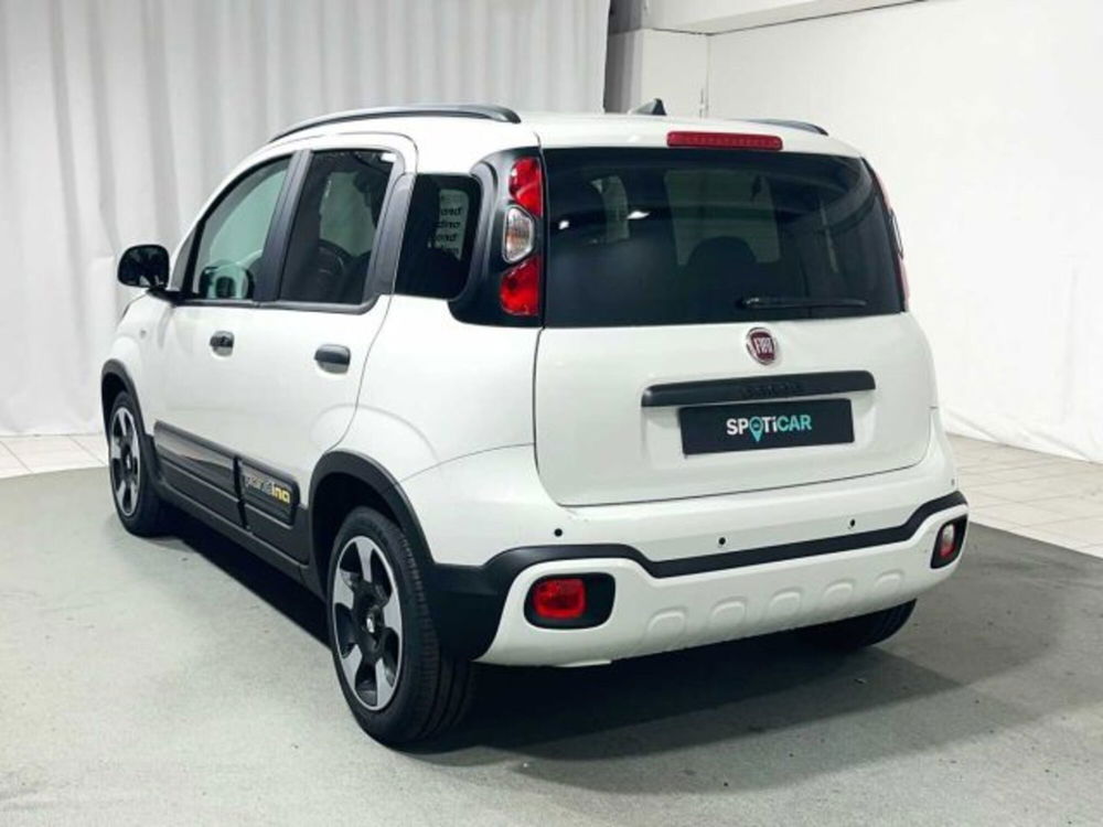 Fiat Panda nuova a Sondrio (3)